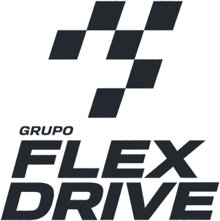 Grupo Flex Drive